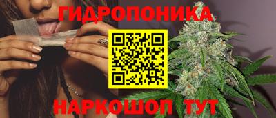 прущие крисы Партизанск