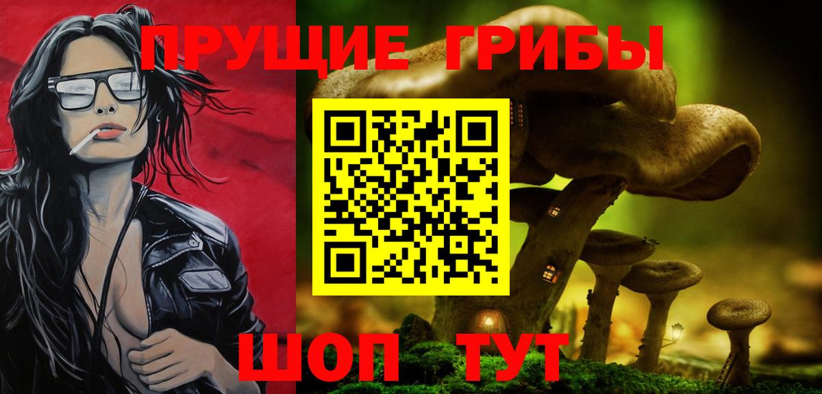 Галлюциногенные грибы Magic Shrooms  Вход с VPN  Сухой Лог 